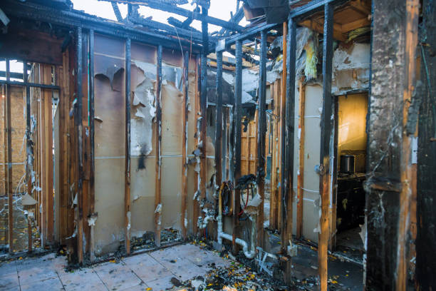 Professional Fire Damage Removal technician working in Shingletown, CA